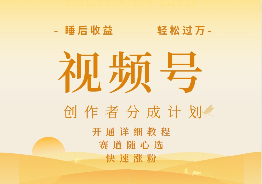 详解视频号创作者分成计划，暴力起号，可同步多平台，实现睡后收入2W+，看懂即可操作！-91搞钱