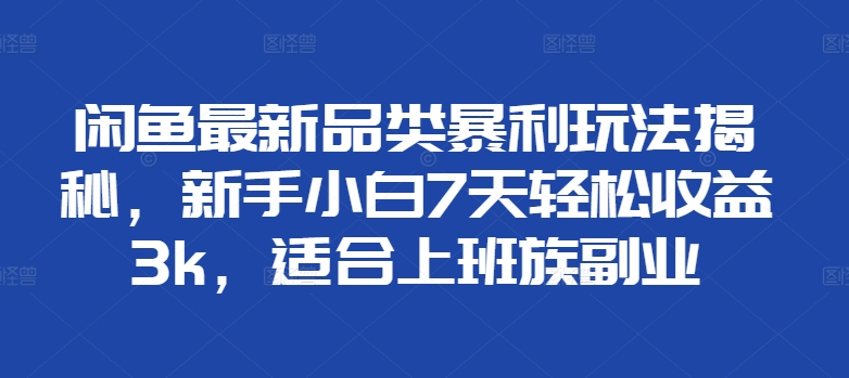 闲鱼最新品类暴利玩法揭秘，新手小白7天轻松赚3000+，适合上班族副业-91搞钱