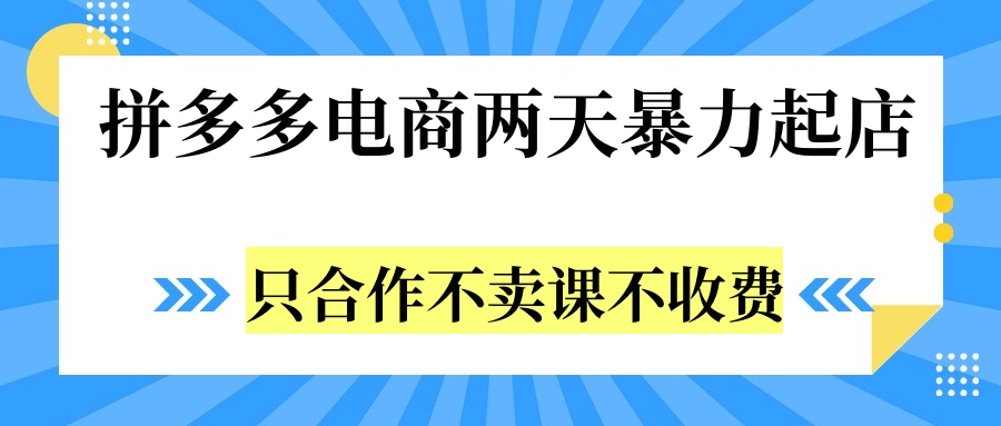 拼多多两天暴力起店，只合作不卖课不收费-91搞钱