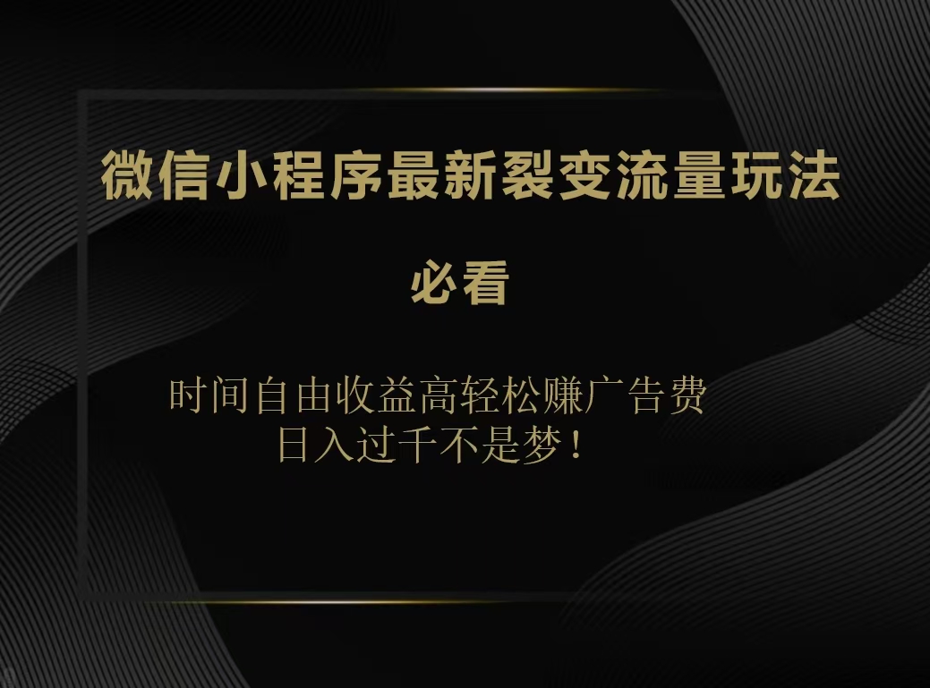 微信小程序最新裂变流量玩法，时间自由收益高轻松赚广告费，日入200-500+-91搞钱