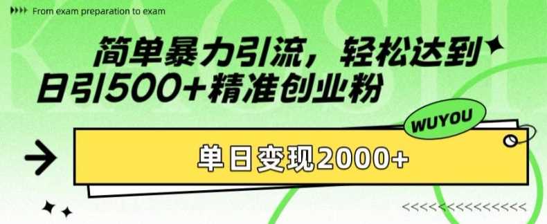 简单暴力引流轻松达到日引500+精准创业粉，单日变现2k【揭秘】-91搞钱