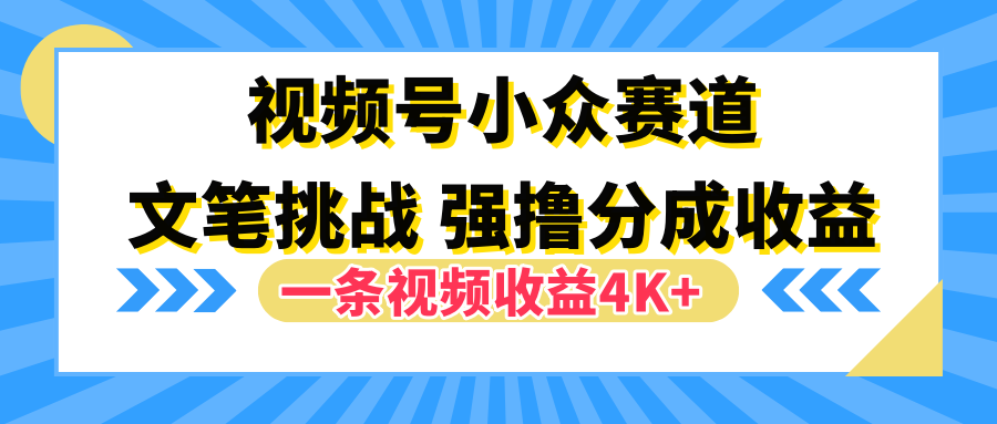 视频号小众赛道，文笔挑战，一条视频收益4K+-91搞钱