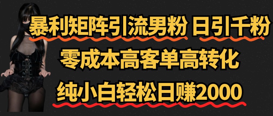 暴利矩阵引流男粉（日引千粉），零成本高客单高转化，纯小白轻松日赚2000+-91搞钱