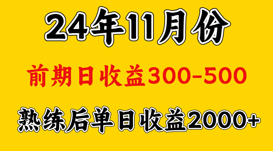 轻资产项目，前期日收益500左右，后期日收益1500-2000左右，多劳多得-91搞钱