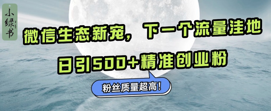 微信生态新宠小绿书：下一个流量洼地，粉丝质量超高，日引500+精准创业粉，-91搞钱