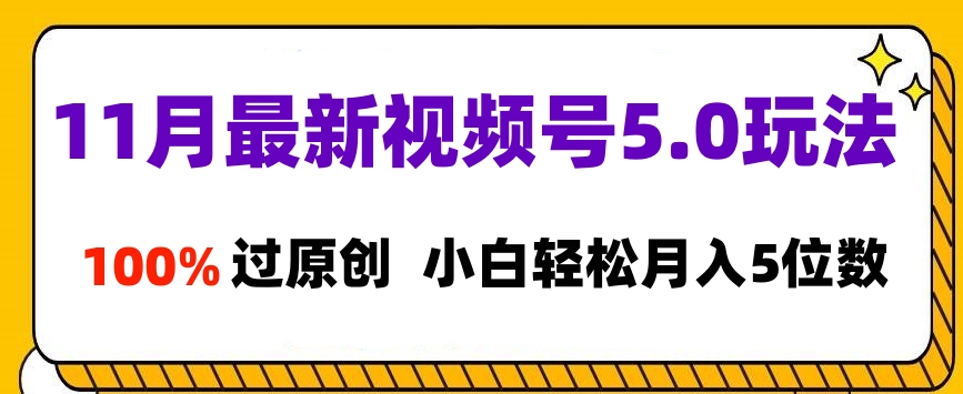 11月最新视频号5.0玩法，100%过原创，小白轻松月入5位数-91搞钱