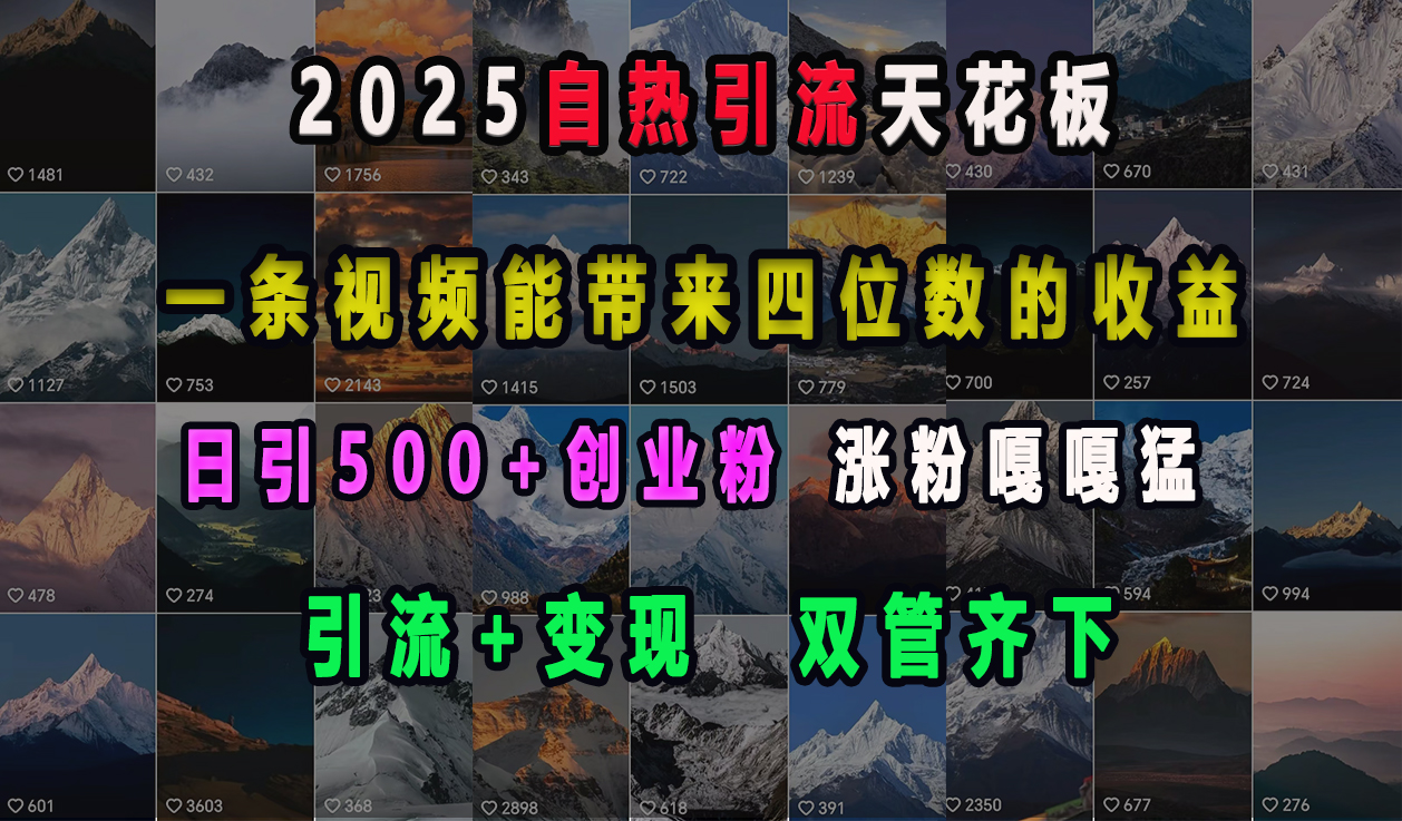 2025自热引流天花板，一条视频能带来四位数的收益，引流+变现双管齐下，日引500+创业粉，涨粉嘎嘎猛-91搞钱