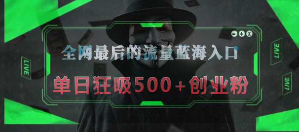 全网最后的流量蓝海入口，半小时引流50+创业粉，单日狂吸500+创业粉-91搞钱
