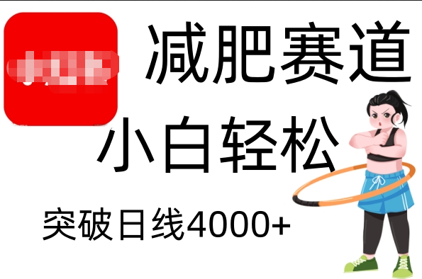 小红书减肥赛道，小白轻松日利润4000+-91搞钱