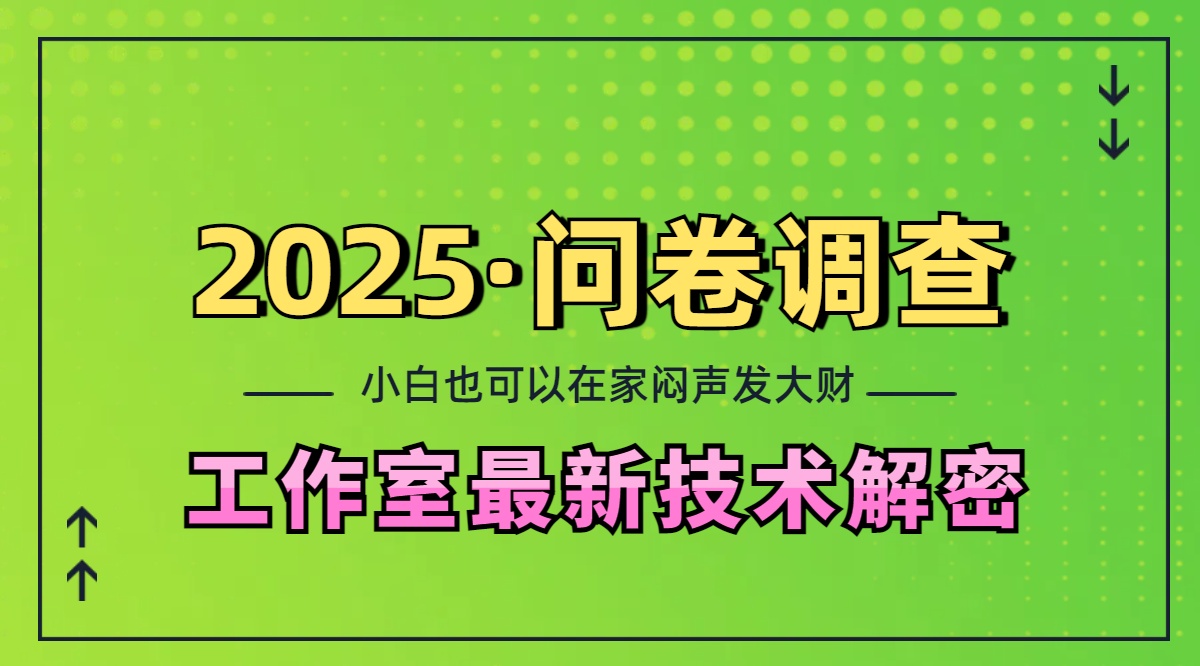 2025《问卷调查》最新工作室技术解密：一个人在家也可以闷声发大财，小白一天200+，可矩阵放大-91搞钱