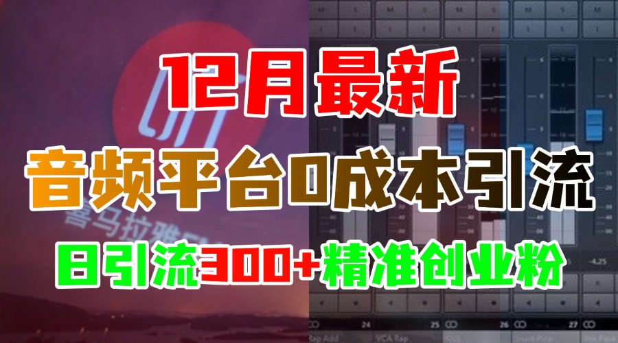 12月最新：音频平台0成本引流，日引300+精准创业粉-91搞钱