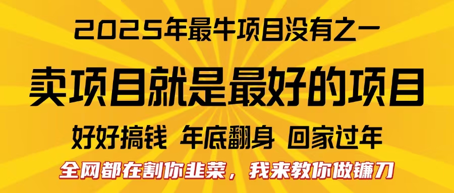 全网都在割你韭菜，我来教你做镰刀。卖项目就是最好的项目，2025年最牛互联网项目-91搞钱