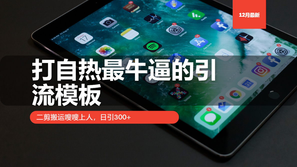打自热最牛逼的引流模板，日引300+，二剪搬运嗖嗖上人-91搞钱