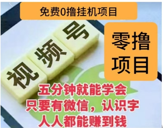 微信视频号挂机零成本撸米项目，单号一天收益多米，帐号越多收益就越高！-91搞钱