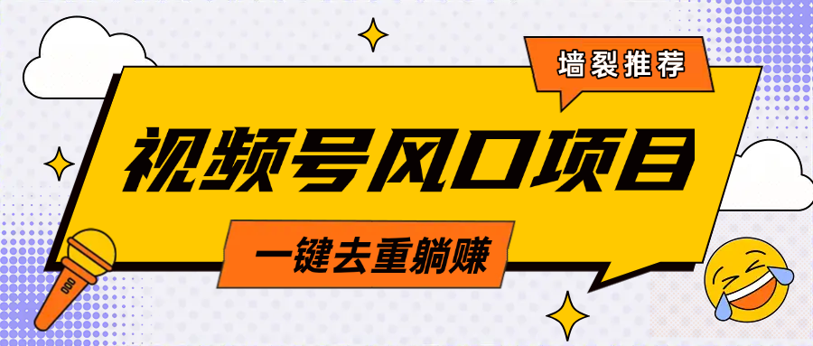 视频号风口蓝海项目，中老年人的流量密码，简单无脑，一键去重，轻松月入过万-91搞钱