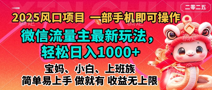 2025蓝海风口项目，微信流量主最新玩法，轻松日入1000+，简单易上手，做就有 收益无上限-91搞钱