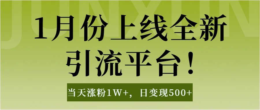 1月上线全新引流平台，当天涨粉1W+，日变现500+工具无脑涨粉，解放双手操作简单-91搞钱