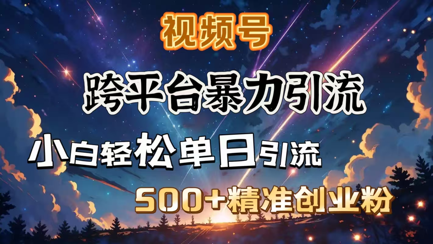 视频号跨平台暴力引流，小白轻松单日引流500＋精准创业粉-91搞钱