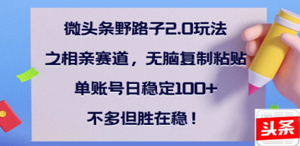 全网首发微头条野路子2.0玩法之相亲赛道，无脑搬砖复制粘贴，单账号日稳定300+保姆级教程-91搞钱