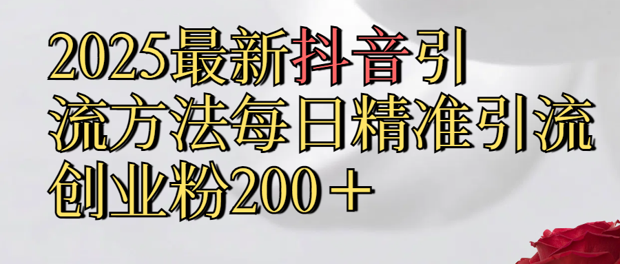 2025最新,抖音引流,方法每日精准引流创业粉300＋-91搞钱
