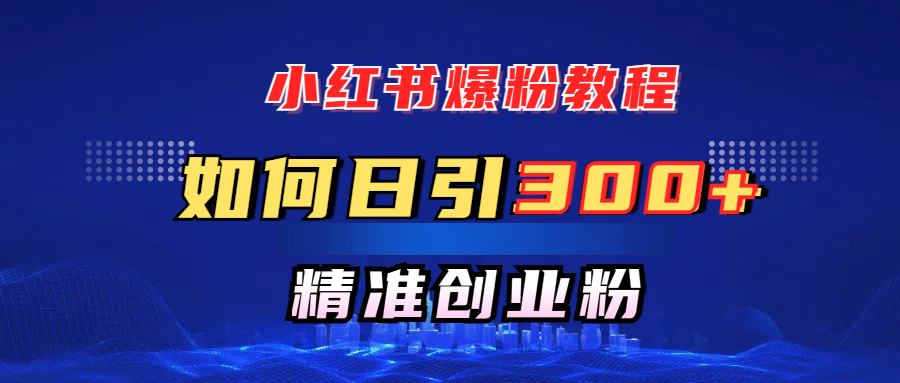 小红书爆粉教程，如何日引300+创业粉，快速实现精准变现！-91搞钱