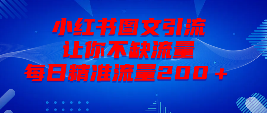 最新！小红书图文引流，全面解析日引300私域流量，是怎样做到的！-91搞钱