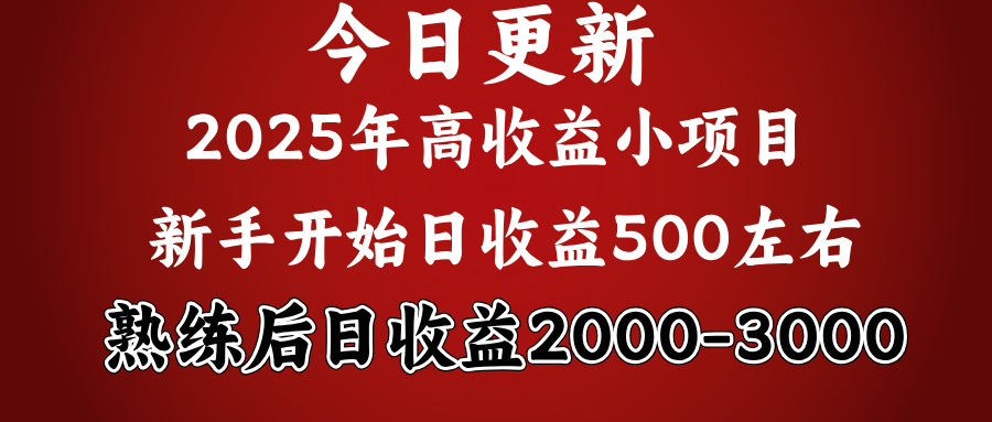 好项目一眼就能看出来，日收益1000，长久可做，2025拼的就是我比你勤奋-91搞钱