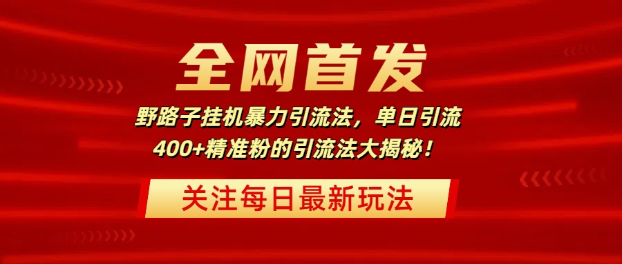 全网首发，野路子挂机暴力引流法，单日引流400+精准粉的引流法大揭秘！-91搞钱