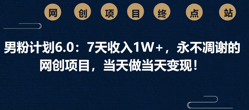 男粉计划6.0：7天收入1W+，永不凋谢的网创项目，当天做当天变现！-91搞钱