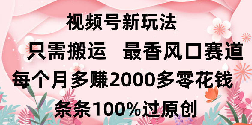 日入2000+，条条100%过原创，视频号最香风口赛道，小白轻松上手-91搞钱