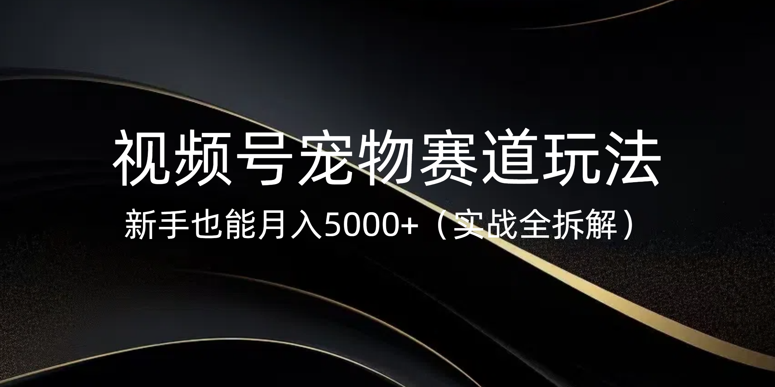 视频号宠物赛道玩法，新手也能月入5000+（实战全拆解）-91搞钱