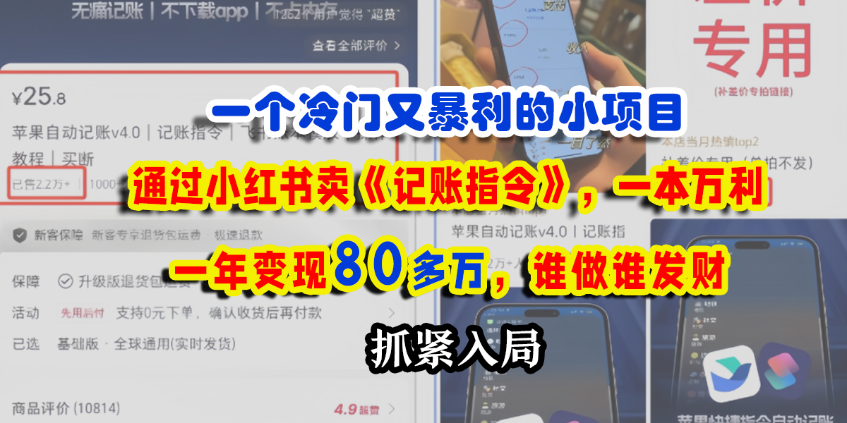 一个冷门又暴利的小项目，通过小红书卖《记账指令》，一本万利，一年变现80多万，谁做谁发财-91搞钱