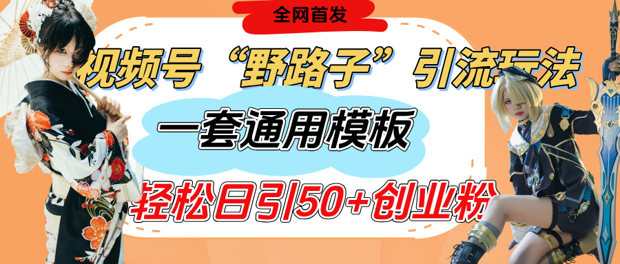 视频号“野路子”玩法，评论区疯狂截流，一套模板单日单号引流50+创业粉-91搞钱