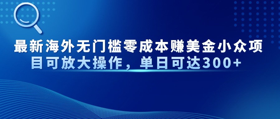 最新海外无门槛美金小众项目可放大操作，单日可达300+-91搞钱