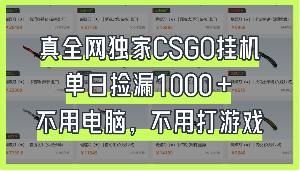 真全网独家CSGO挂机，单日捡漏1000+-91搞钱