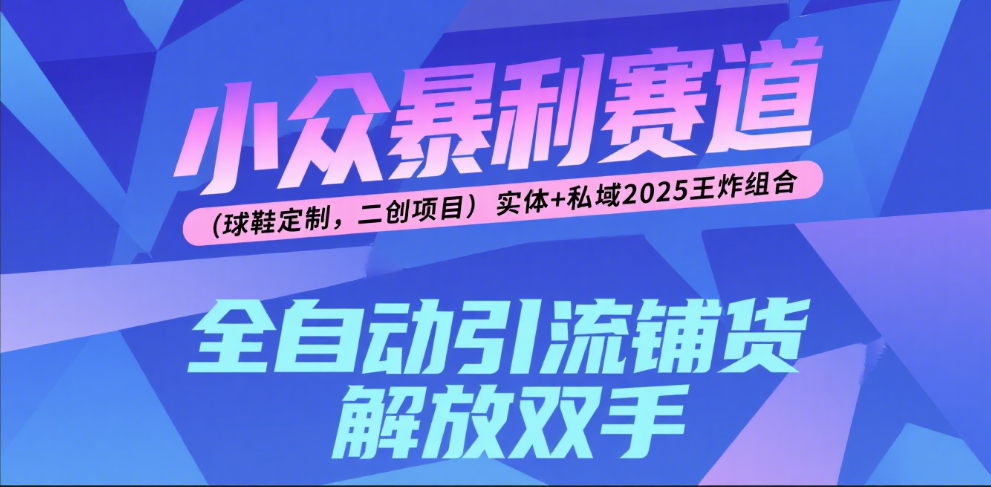 楠—小众暴利赛道（球鞋定制，二创项目）实体+私域2025王炸组合-91搞钱
