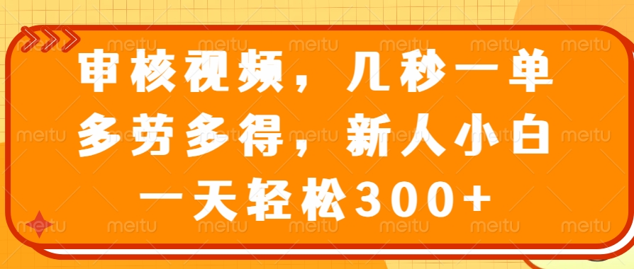 视频审核员，几秒一单，多劳多得，新人小白一天轻松300+-91搞钱