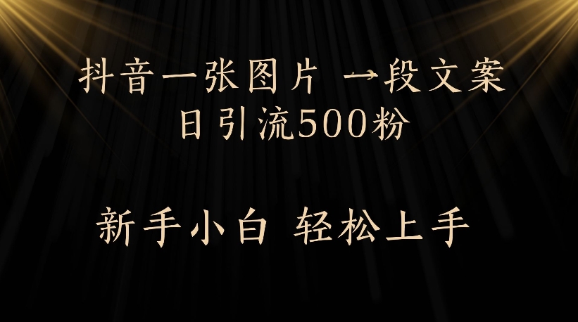 抖音一张图片，一段文案日引流500粉，新手小白 轻松上手-91搞钱