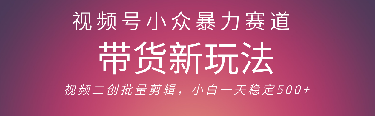 视频号小众暴力赛道，最新带货玩法 小白也能轻松日入500+ 保姆及教程-91搞钱