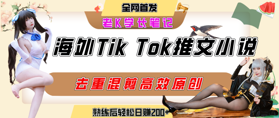 海外tiktok小说推文暴力项目，高停留率，高转化率，上手后一天搞顿饭钱不是问题-91搞钱