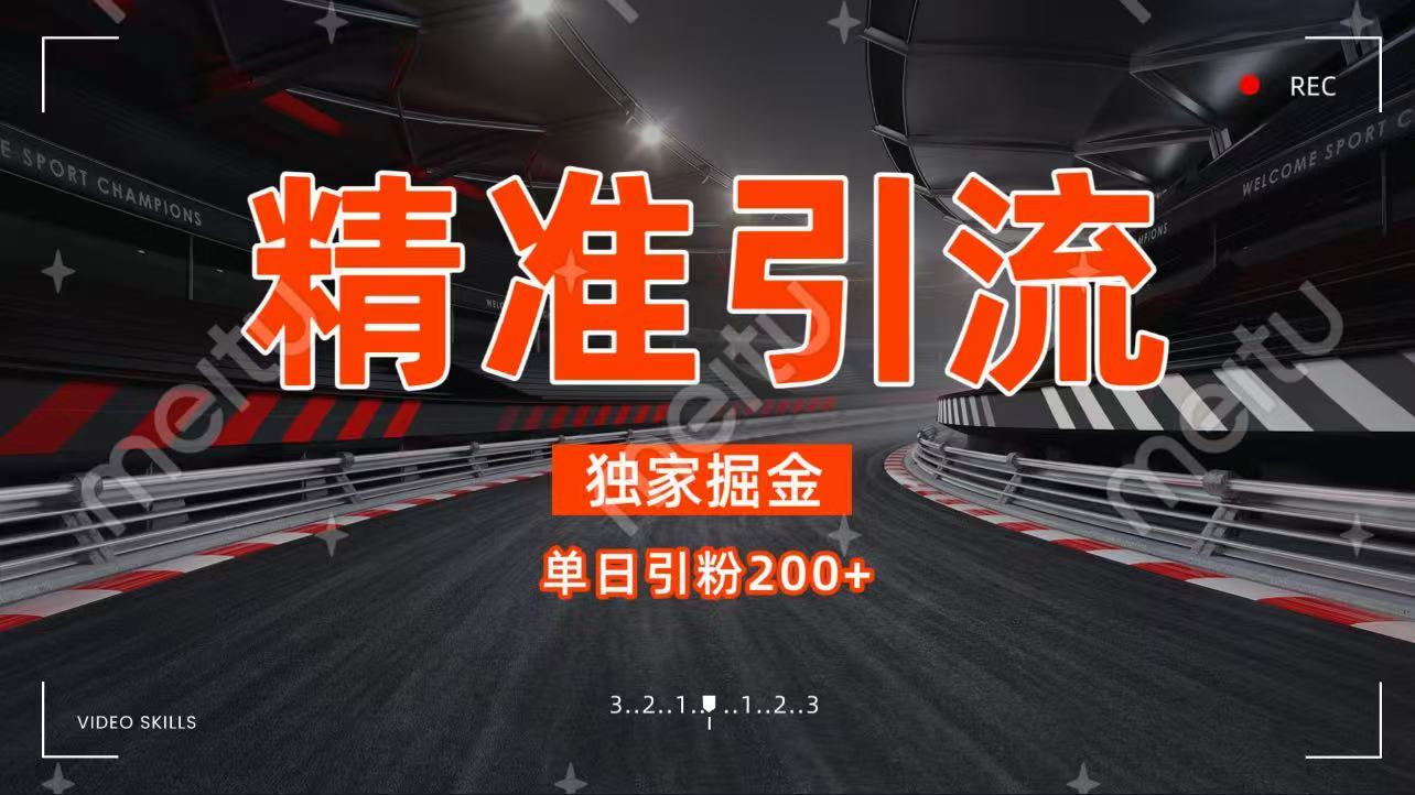 独家野路子精准引流 每日200+-91搞钱