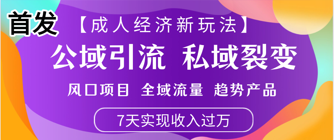 首发：【成人经济新玩法】市面独家玩法，风口项目、全域流量、趋势产品，7天实现月入过万-91搞钱