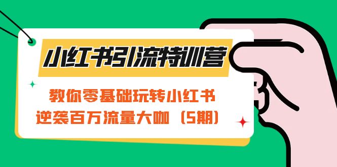 小红书引流特训营-第5期：教你零基础玩转小红书，逆袭百万流量大咖-91搞钱