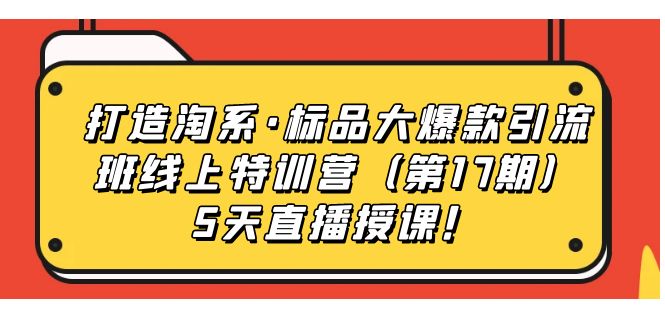 打造淘系·标品大爆款引流班线上特训营5天直播授课！-91搞钱