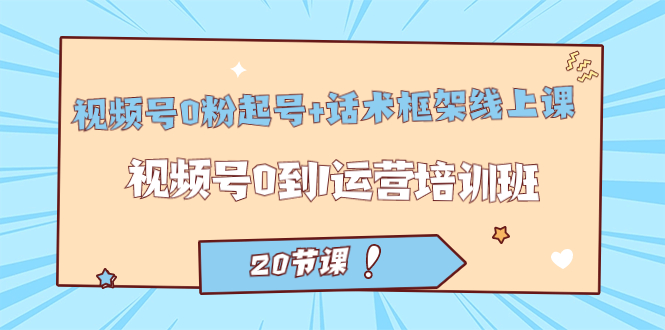 视频号·0粉起号+话术框架线上课：视频号0到1运营培训班（20节课）-91搞钱