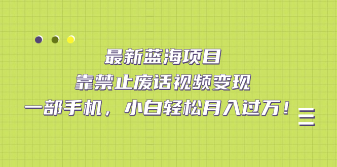 最新蓝海项目，靠禁止废话视频变现，一部手机，小白轻松月入过万！-91搞钱