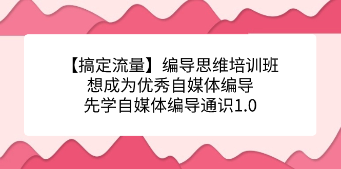 【搞定流量】编导思维培训班，想成为优秀自媒体编导先学自媒体编导通识1.0-91搞钱