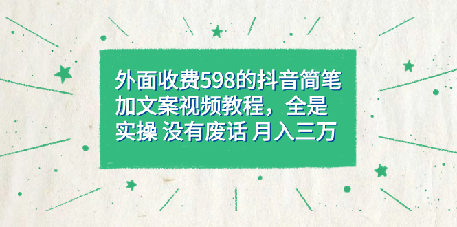 外面收费598抖音简笔加文案教程，全是实操 没有废话 月入三万（教程+资料）-91搞钱