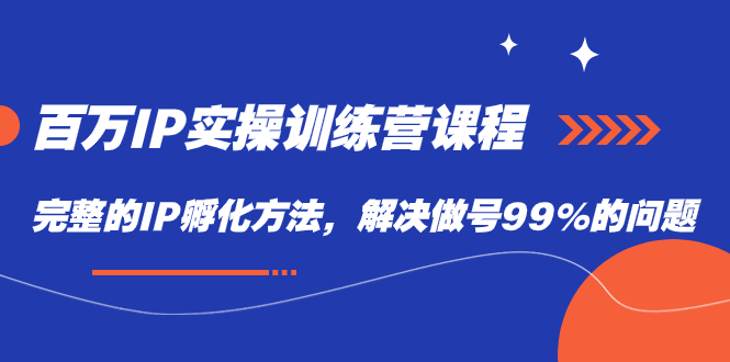 百万IP实战训练营课程，完整的IP孵化方法，解决做号99%的问题-91搞钱