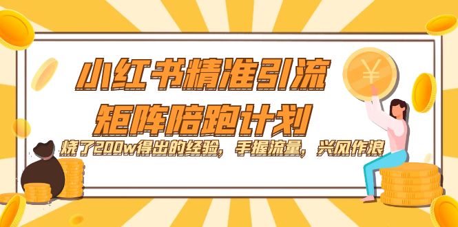 小红书精准引流·矩阵陪跑计划：烧了200w得出的经验，手握流量，兴风作浪！-91搞钱
